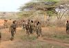 Somali National Army kills 2 Al-Shabaab militants in Janale town